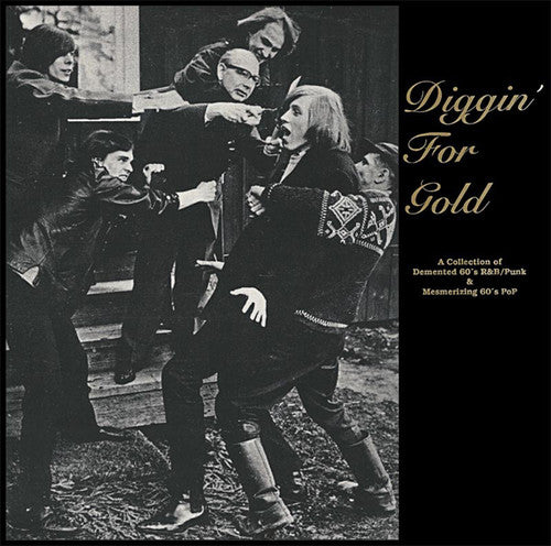 Diggin For Gold / Various - Diggin For Gold / Various - Vinyl Record