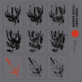 Dorji,tashi & Damon,tyler - To Catch A Bird In A Net Of Wind - Vinyl Record