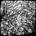 Sonic Poison & Axeslaughter - Split - Vinyl Record