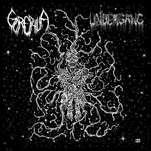 Undergang / Gorephilia - Split 7 - Vinyl Record