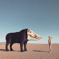 Dream Hunting In The Valley Of The In-Between [LP] Vinyl Record