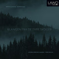 Rebne / Illevold / Hansen - Klangen Fra De Dype Skoger - Music CD