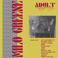 Adult Contemporary [LP] Vinyl Record