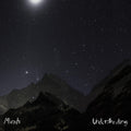 Mirah - Understanding - Vinyl Record