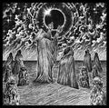 Shades - In Praise Of Darkness - Vinyl Record