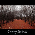 Country Westerns - Country Westerns - Vinyl Record