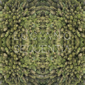 Luciano - Sequentia 1 - Vinyl Record