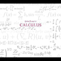 Zorn,john - Calculus - Music CD