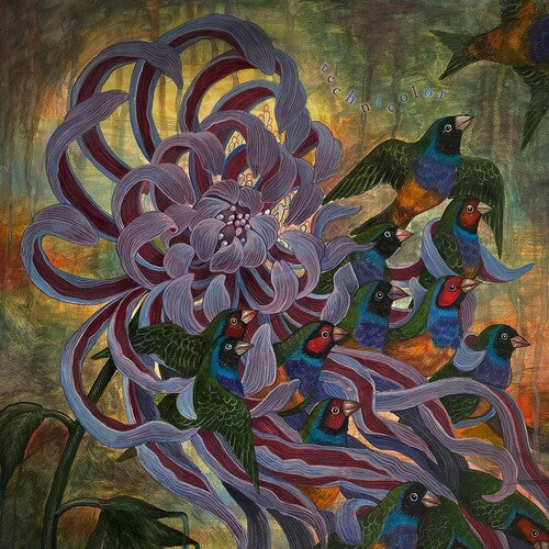 Covet - Technicolor - Music CD