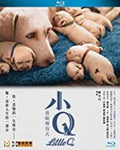 Little Q - Little Q - Blu-ray