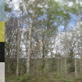 Declining Winter - Belmont Slope - Music CD