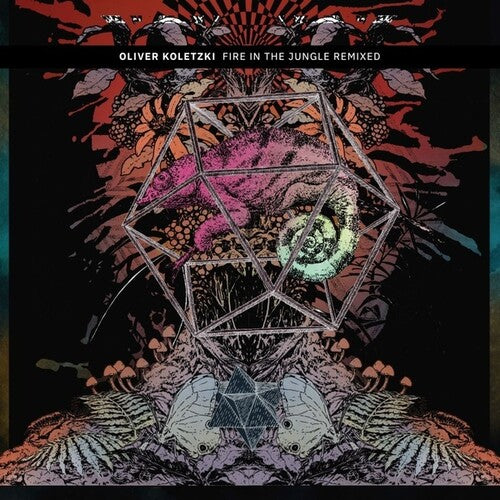 Koletzki,oliver - Fire In The Jungle Remixed - Vinyl Record