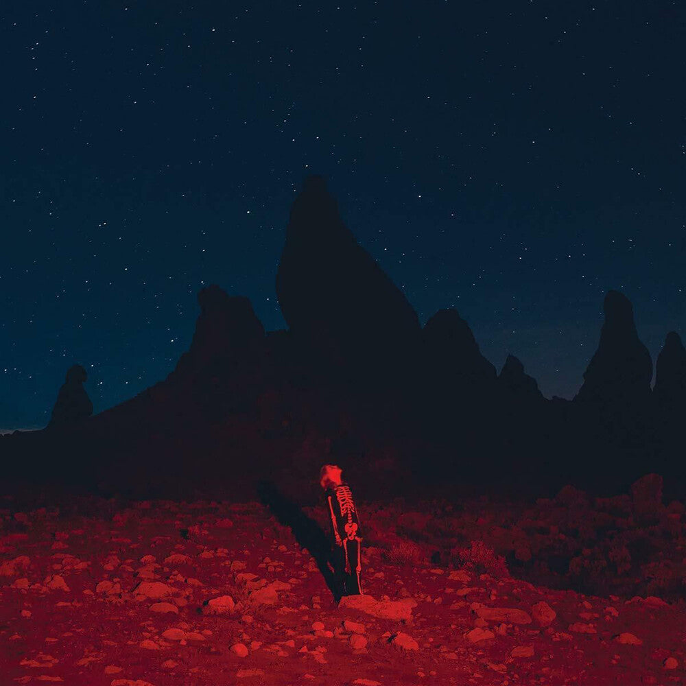 Phoebe Bridgers - Punisher [LP]