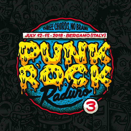 Punk Rock Raduno 3 / Various - Punk Rock Raduno 3 / Various - Vinyl Record