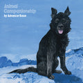 Advance Base - Animal Companionship - Vinyl Record