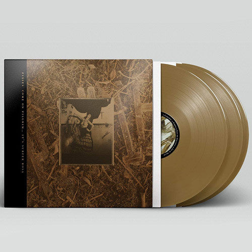 Pixies - Come On Pilgrim It's Surfer Rosa - Vinyl Record