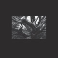 R.a.n. - Seb-i Yelda - Vinyl Record
