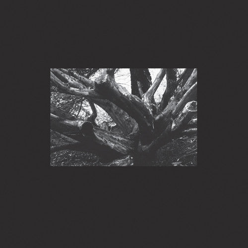 R.a.n. - Seb-i Yelda - Vinyl Record