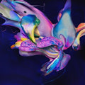 Avondlicht - Hyperromance - Vinyl Record