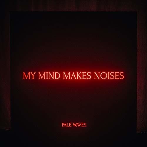 My Mind Makes Noises [2LP] Vinyl Record