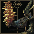 16 - Dream Squasher - Music CD