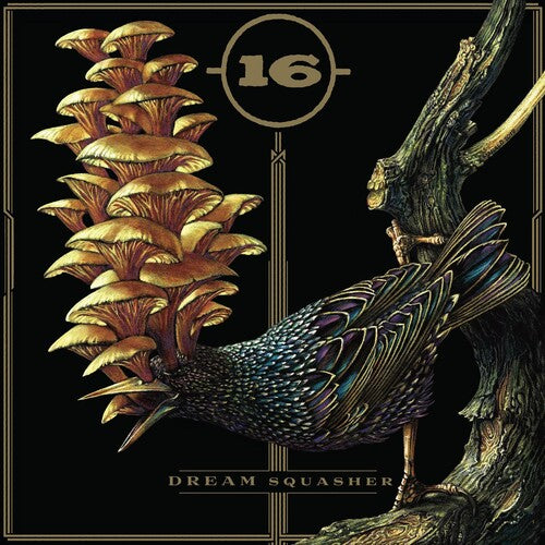 16 - Dream Squasher - Music CD
