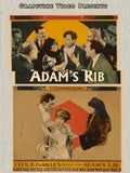 Adam's Rib - Adam's Rib - DVD