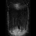 Paysage D'hiver - Im Wald - Music CD