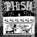 Phish - Junta - Vinyl Record