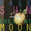 Pale Sun Crescent Moon (Can) [LP] Vinyl Record