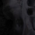 Gatto,vito - Evolve - Vinyl Record