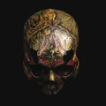 Blight - Temple Of Wounds - Vinyl Record