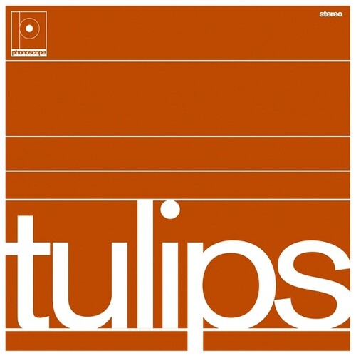 Maston - Tulips - Vinyl Record