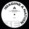 Gemini - Imagine A Nation / For The Crazy - Vinyl Record