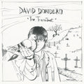 The Transient [LP] Vinyl Record