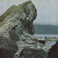 Motorama - Many Nights - Music CD
