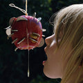 Puce Mary - Drought - Music CD