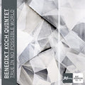 Koch,benedikt - True In No Possible World - Music CD