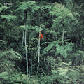 Spice - Spice - Music CD