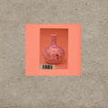 Momus - Vivid - Music CD