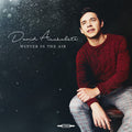 Archuleta,david - Winter In The Air - Music CD