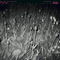 Cucina Povera & Els - Oystercatcher - Vinyl Record
