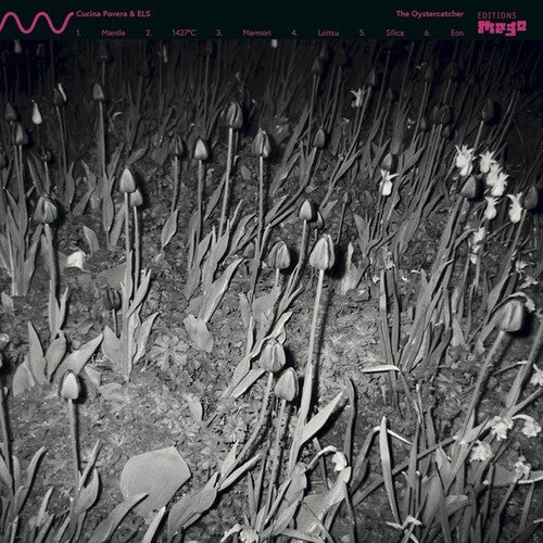 Cucina Povera & Els - Oystercatcher - Vinyl Record