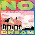 Jeff Rosenstock - No Dream [Limited Edition Seafoam LP]