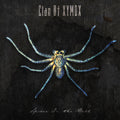 Spider On The Wall Music CD