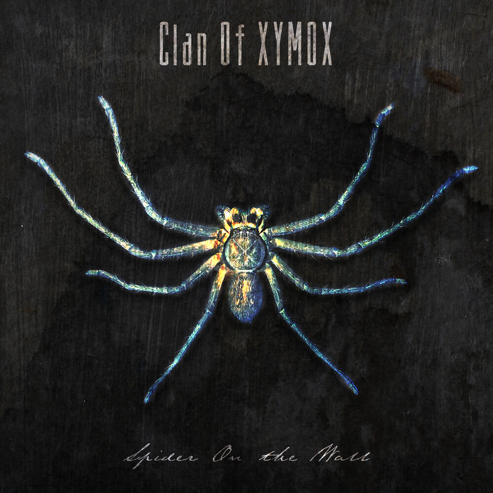 Spider On The Wall Music CD