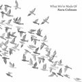 Colman,sara - What We're Made Of - Music CD