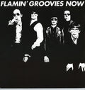 Flamin' Groovies - Now - Music CD