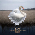 Waters,young - Young Waters - Music CD