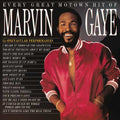 Every Great Motown Hit Of Marvin Gaye: 15 Spectacular Performances [LP] Vinyl Record